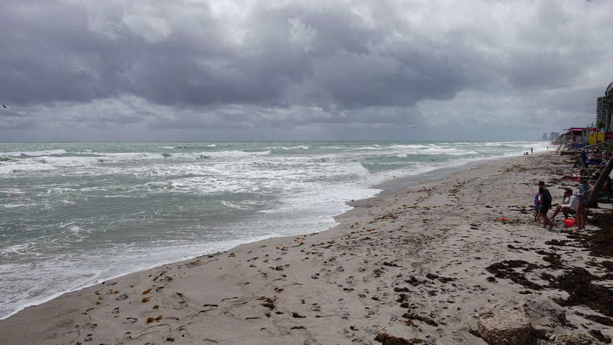 MIA_2024-03-25 12-14-45_RX_09751